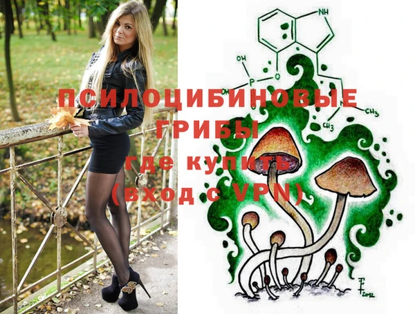 марки lsd Бородино