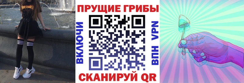 Псилоцибиновые грибы Magic Shrooms где найти Осинники